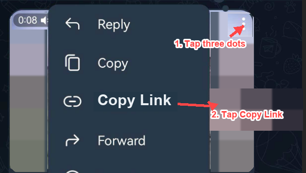 Tap the three dots, then tap Copy Link.